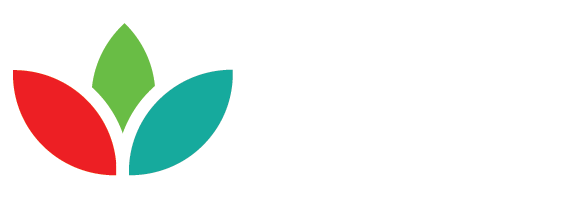 LOTUS FINANCE
